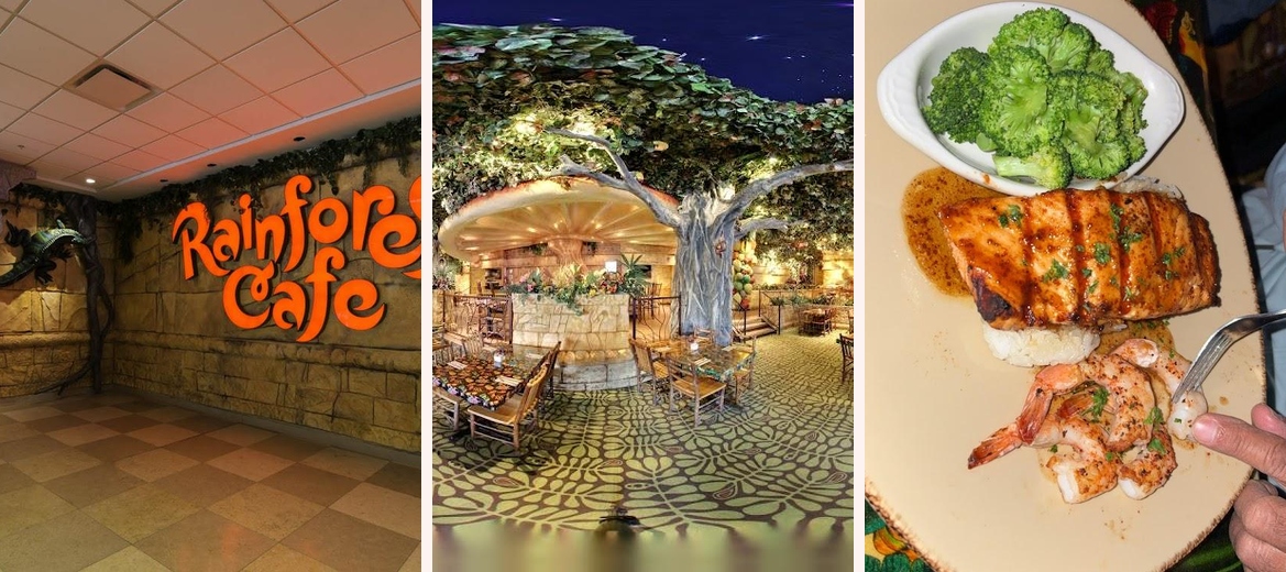 Rainforest Cafe Gallery Image 3