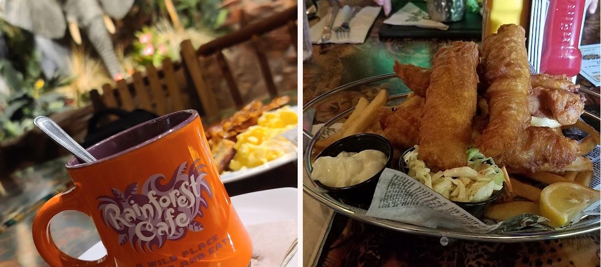 Rainforest Cafe Gallery Image 6